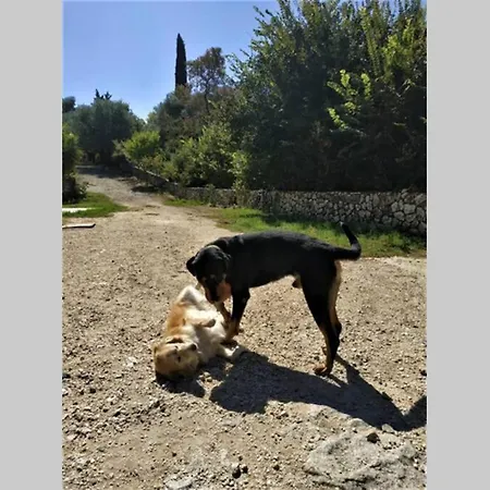 Fiorela Maisonette Hébergement de vacances *