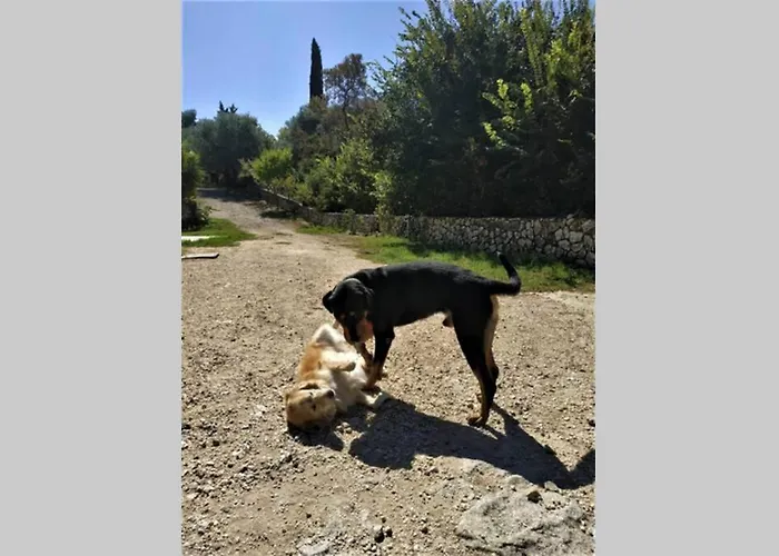 Fiorela Maisonette Hébergement de vacances *